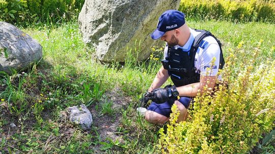 Sopot: Ranna mewa uratowana przez policję i Ekopatrol