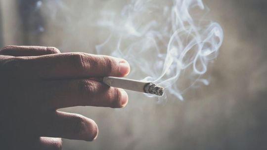 Raport Nanny State Index 2025. Tak państwa regulują nasze życie. Polska w czołówce