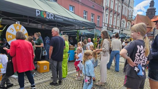 Pomorski EkoFestiwal, Kościerzyna