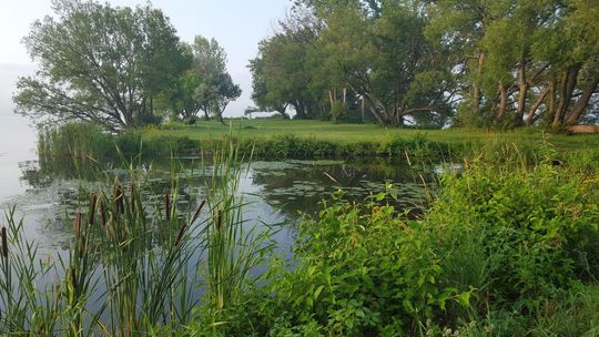 rezerwat, zdjęcie ilustracyjne