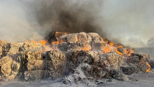 Potężne kłęby dymu nad Gdynią! Płonie składowisko makulatury