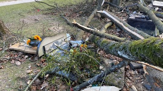 Powalone drzewa, zniszczone nagrobki. Orkan szalał nad Pomorzem