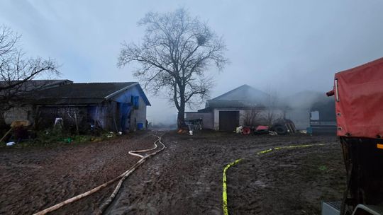 Pożar chlewni w Karsinie. Spłonęła trzoda chlewna