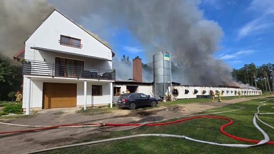 pożar kurnika, Kobysewo