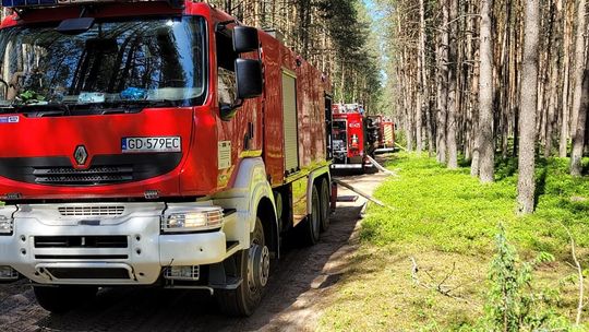 pożar w Parku Narodowym „Bory Tucholskie”