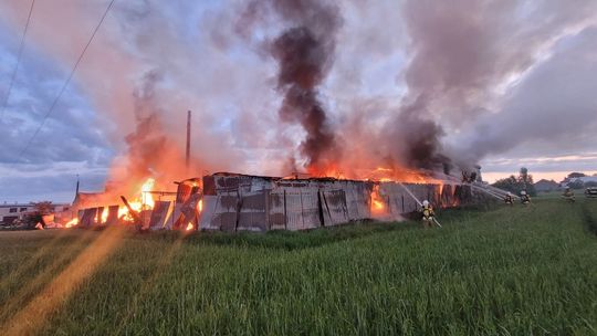 Pożar zakładu produkującego trumny. Straty to ponad 5 mln zł!