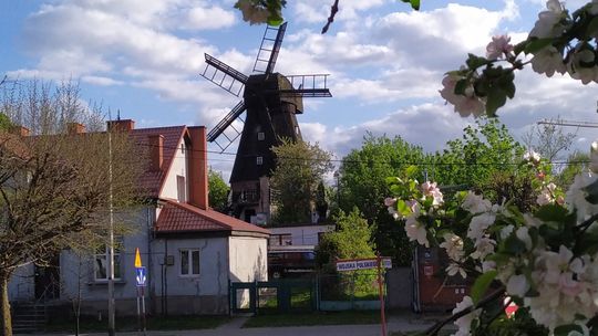 Nie ma chętnych na remont zabytkowego wiatraka w Tczewie