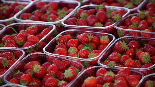 Przed nami szczyt sezonu truskawkowego. Ceny owoców wreszczie spadną?