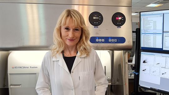 Przełomowe badania nad szczepionkami na nowotwory w Gdańsku! Medycyna jest w stanie uporać się z rakiem