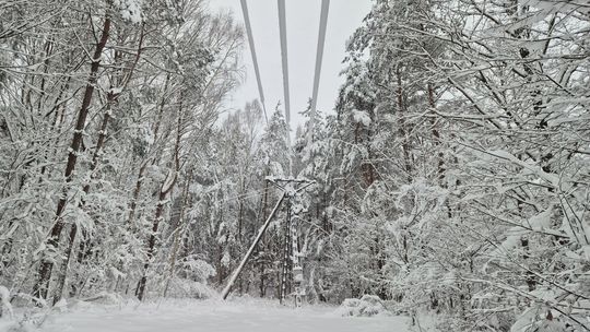 Przerwy w dostawie prądu na Pomorzu. Najtrudniej w okolicach Kartuz, Tczewa i Wejherowa prąd, słup elektryczny, zdjęcie ilustracyjne