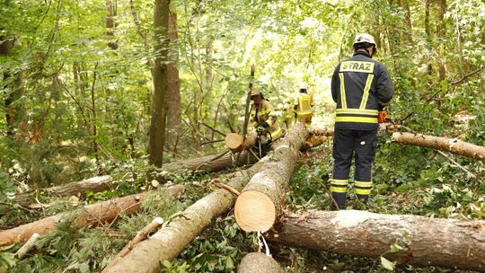 Przez Pomorze przeszły intensywne opady i burze. Podtopienia posesji, powalone drzewa