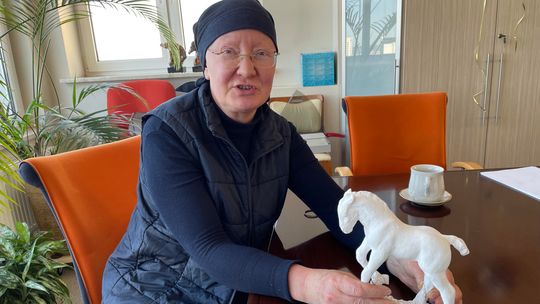 Przy budowie miasta zginęły ich tysiące. Czy gdyńskie konie zasłużyły na pomnik? Przy budowie miasta zginęły ich tysiące. Czy gdyńskie konie zasłużyły na pomnik?