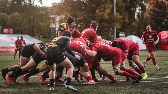 Przyjdź na derby i pomóż bezdomnym zwierzakom. Sportowe święto w Gdyni
