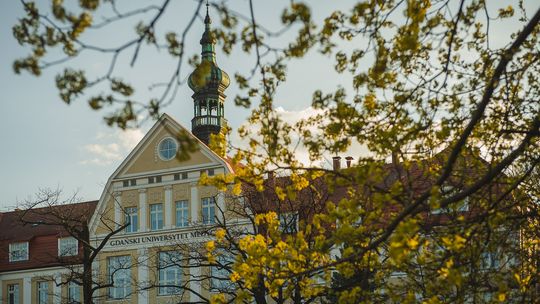 Studenci psychologii zdrowia stracą prawo do zawodu? Rządowy projekt budzi kontrowersje