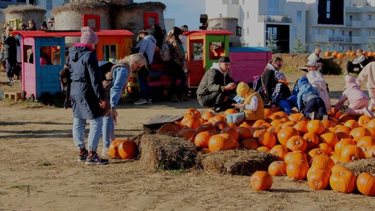 Pumpkin House na Pomorzu, czyli dynia rządzi na Rotmance. Dyniowe Love zaprasza!