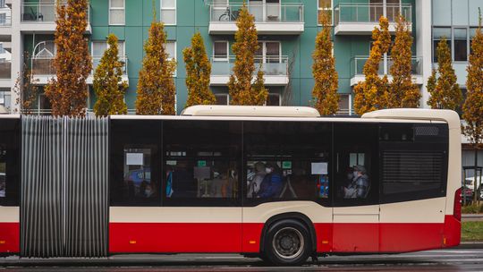 Radna kontra ZTM Gdańsk. Zmiany w rozkładzie faktycznie utrudniają dojazd na ul. Michałki? autobus, Gdańsk, zdjęcie ilustracyjne