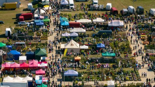 Rekordowe TOP Targi w Lubaniu. Tysiące odwiedzających i bogaty program