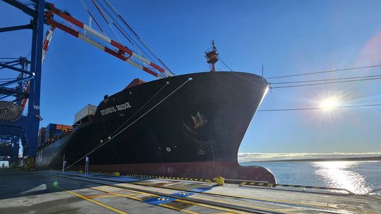 kontenerowiec Istanbul Bridge w Baltic Hub w Porcie Gdańsk