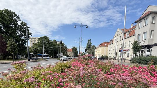Al. Niepodległości w Sopocie z kolejnym remontem. Kierowców czekają objazdy