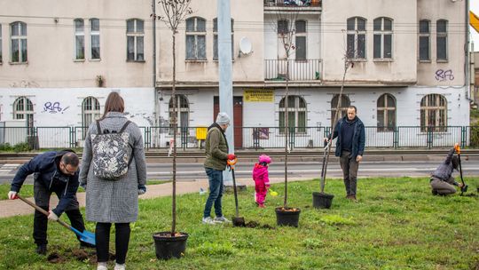 Drzewa w Mieście dla Klimatu