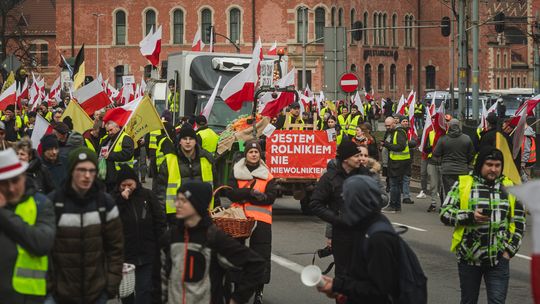 Rolnicy mają dość niskich cen. Szykują się listopadowe protesty w całej Polsce
