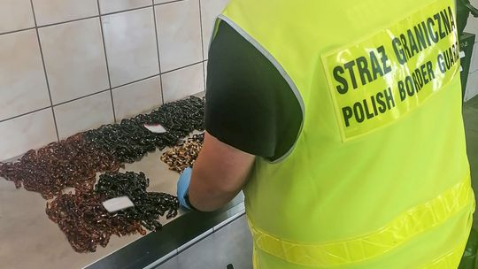 Rosjanie przemycali bursztyn do Polski. W bagażach mieli 230 naszyjników z jantaru