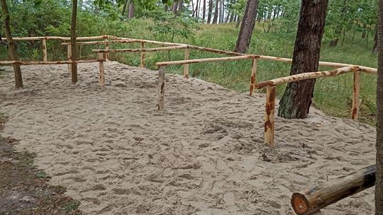 Rowerem na plażę w Sztutowie. Powstały nowe miejsca postojowe