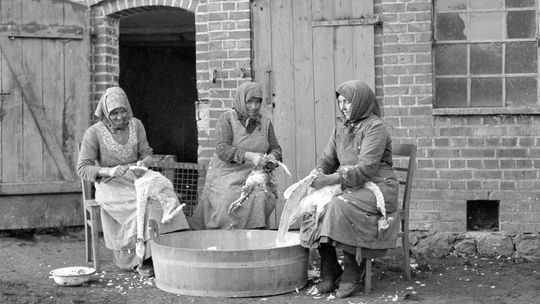 Rusz się z Trójmiasta, czyli imprezy kulturalne na Pomorzu. Gdzie pojechać?