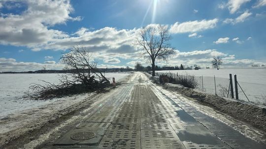 ul. Słoneczna, Czaple