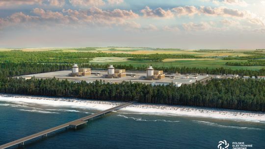 Rusza wycinka drzew pod budowę pierwszej polskiej elektrowni jądrowej w Choczewie