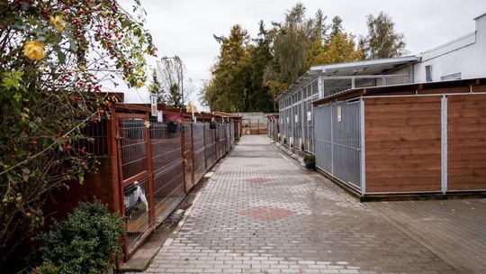 schronisko dla bezdomnych zwierząt w Starogardzie Gdańskim po modernizacji