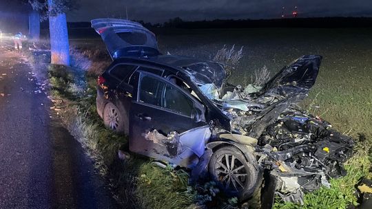 Silny wiatr na Pomorzu! Drzewo spadło na samochód, problemy na lotnisku