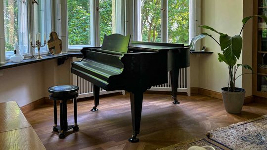 Skarb znaleziony w zabytkowej willi Sopotu. Nie zagra, ale zdobi