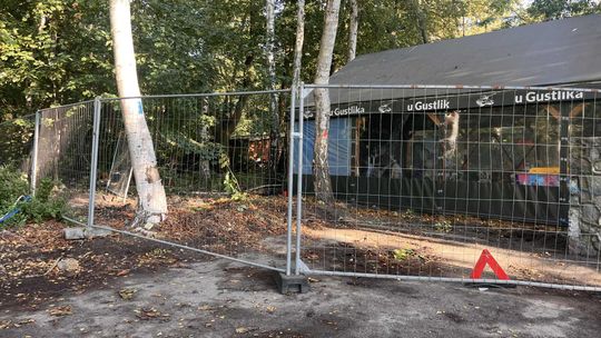 SKO wstrzymuje decyzje burmistrza Helu. Wycinka drzew i prace przy Hel Happiness wstrzymane