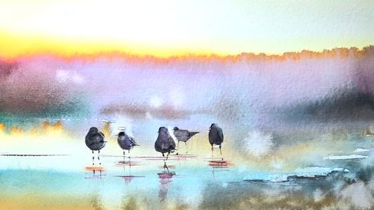 Od biologii do akwareli. „Skrzydlate portrety” w Oliwskim Ratuszu Kultury