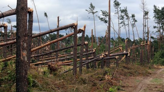 Tragedia w Suszku, nawałnica, śmierć harcerek