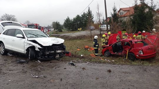 śmiertelny wypadek, Jeleń