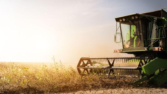 Śmiertelny wypadek podczas żniw. Operator kombajnu miał ponad 3,5 promila