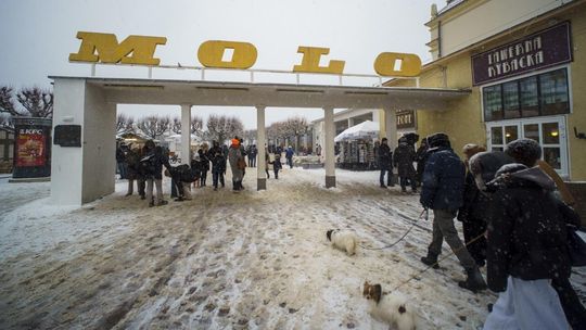 Sopot bawi się cały dzień! Tak żegnają 2025 rok mieszkańcy kurortu