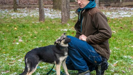 Sopotkowo zaprasza na niedzielny Świąteczny Dzień Otwarty