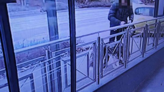 Sprzed sklepu w Sopocie ukradł psa. 59-latek zatrzymany przez policję