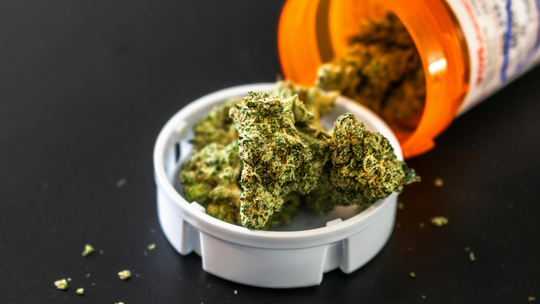 Sprzedaż marihuany medycznej znów w górę. Sypią się wysokie kary Sprzedaż marihuany medycznej znów w górę. Sypią się wysokie kary