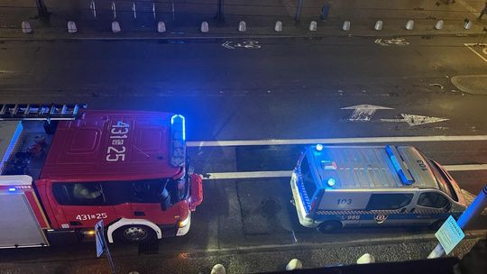 Strażacy i strażnicy miejscy ratowali w centrum Gdyni... jastrzębia