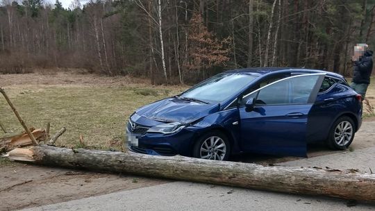 Pomorze walczy z wichurą! Ponad 160 interwencji strażaków