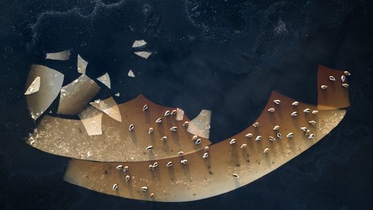 Sukces gdańszczanki. Zdjęcie z Kaszub z Grand Prix National Geographic Polska