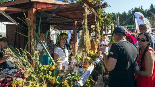 Święto Plonów w Owidzu. Czas pomyśleć o dożynkowych wieńcach