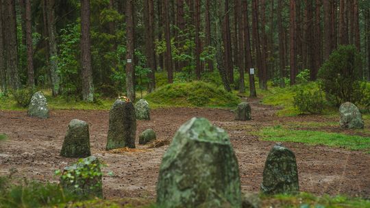 Tajemnicze miejsce na Kaszubach. Z tych kręgów emanuje magiczna energia