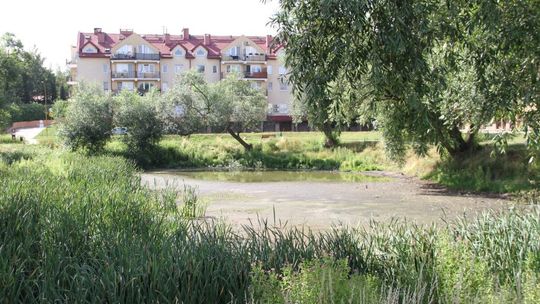 Tczew chce uratować oczko wodne na Piotrowie. Właśnie ogłoszono przetarg Tczew chce uratować oczko wodne na Piotrowie. Właśnie ogłoszono przetarg