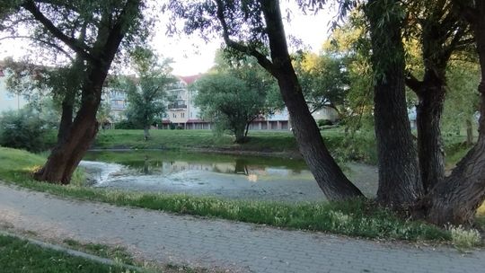 Park Piotrowo w Tczewie