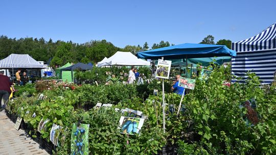 Tłumy w Lubaniu. Trwają Pomorskie Agro Targi
